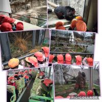 ゆりくみ✨円山動物園遠足に行ってきました！！色々な動物に釘付けの子どもたちでしたよ♥️