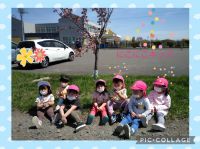 にこにこキッズ☺️バスの先生と一緒に幼稚園の桜を見に行きました🎵お外遊びもしましたよ☀️