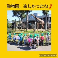 ほしくみ🌟円山動物園に行ってきました😄大きな動物に釘付けの子どもたち♪きりんさんがご飯を食べるところを間近で見れて、嬉しそうでした♡