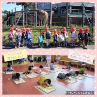 つきくみ🌜️円山動物園に行きました！間近で見るきりん🦒やぞう🐘に大喜びのみんなでしたよ。翌日には、見て来たきりんを一生懸命に描きました！🎨