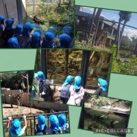 きりんくみ🦒先日、円山動物園に行って来ました！ゾウやキリン、サル、カバ等、沢山の動物を見ることが出来て、帰りのバスでは「楽しかった！」と話していました✨