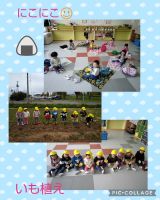 にこにこ☺️いも植えをしました！少し大きい軍手をつけているにこにこちゃんがとっても可愛かったです♥️初めてのおにぎりの日、レジャーシートに大喜びでおにぎりを食べていましたよ😆