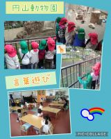 にじくみ🌈先日は、みんな楽しみにしていた円山動物園に行ってきました😆象やキリン、レッサーパンダなど動物を見つけては大興奮のにじくみさんでした！月に1回の言葉遊びも子ども達から好評で、いつも楽しんで取り組んでいますよ✨
