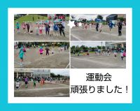 ぞうくみ🐘みんなで力を合わせて頑張った運動会！どの競技もとっても格好良かったです💓次は発表会に向けて頑張りましょう💪✨明日また元気に登園してきてくださいね😌