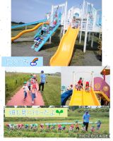 にじくみ🌈園外保育がありました🌞みんなでバスに乗ってお出掛けするのが初めてで、バスの中も公園もとっても楽しんでいました😆幼稚園に戻ってからは、畑のじゃがいもの様子を見に行きました🌱たくさん育つといいね🥔