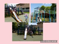 さくらくみ🌸今週は徒歩で五の戸の森公園に行ってきました🚶大きなアスレチックで思う存分遊んできましたよ！