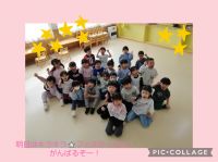 さくらくみ🌸明日はいよいよキラキラ⭐️フェスティバルです！入園した時からずっと取り組んできた体操の集大成となります✨全力で頑張りますので、応援よろしくお願いします😊